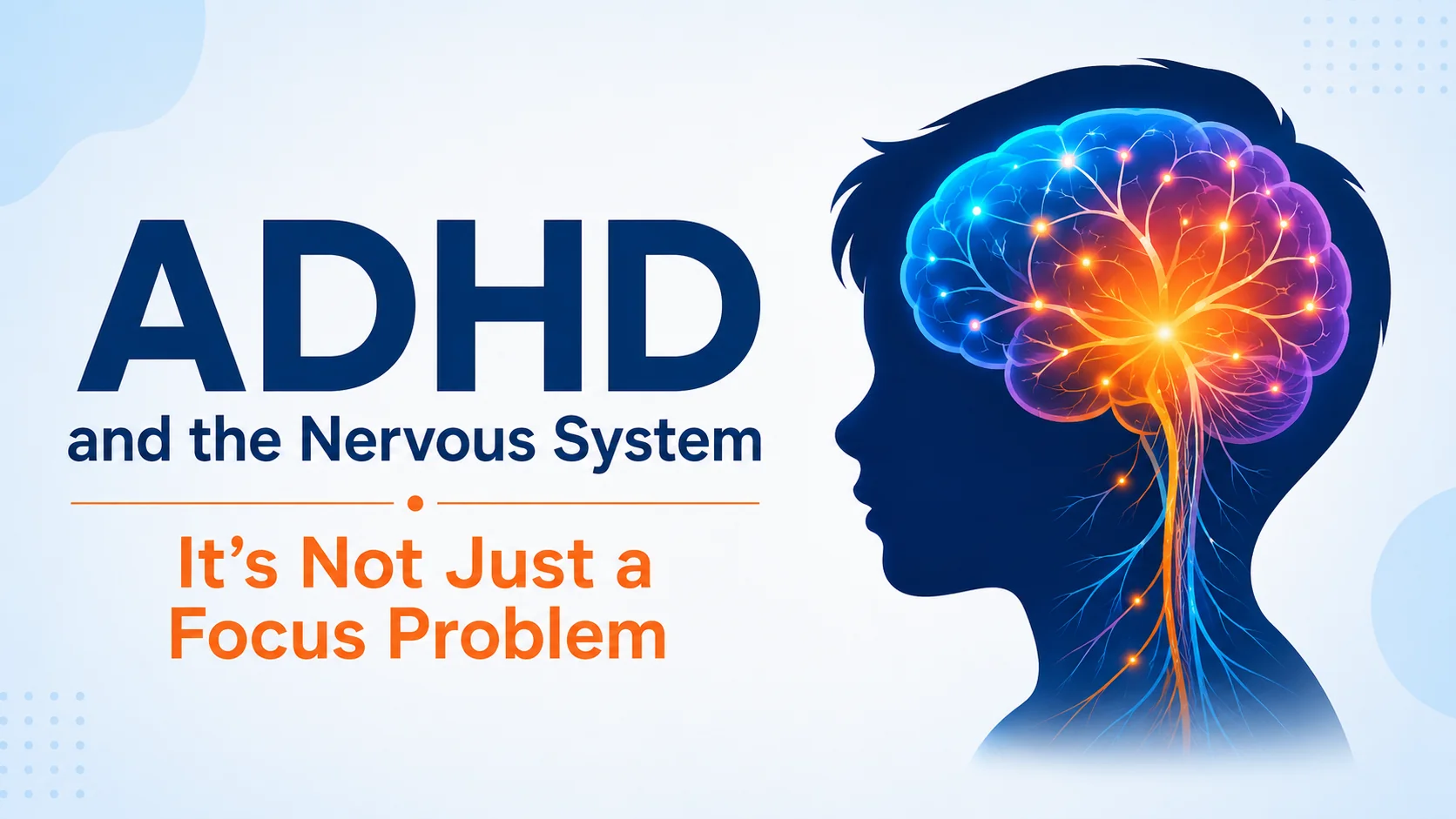 ADHD nervous system