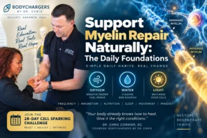 support myelin repair naturally